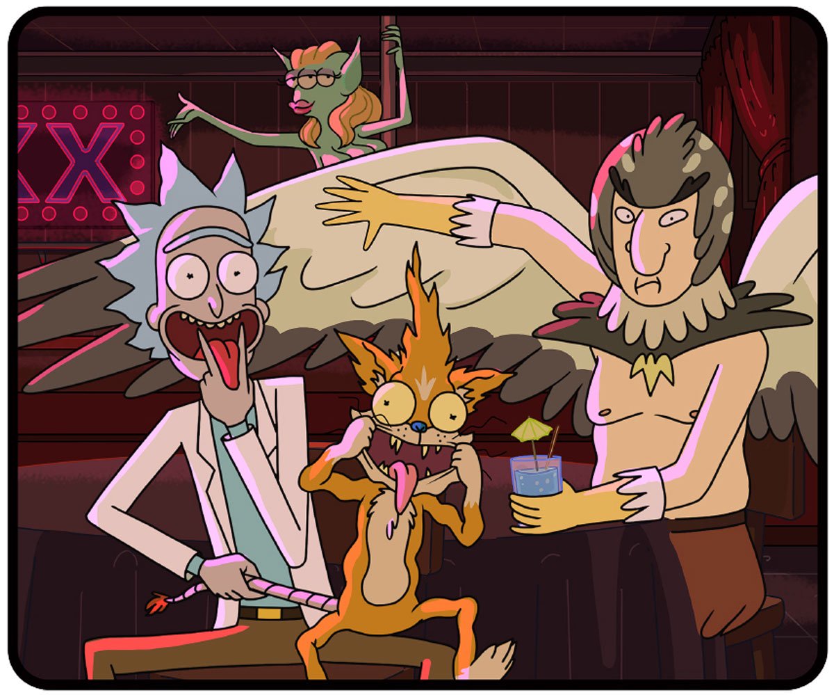 Rick and Morty Bedding Micro Raschel Throw, 50" x 60" (Official Rick & Morty Product) Collectibles