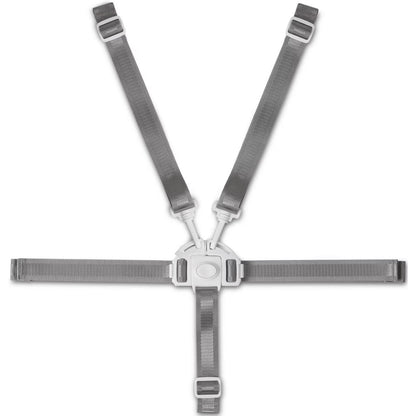 Todays Kids High Chair Straps, Compatible with Graco Highchairs