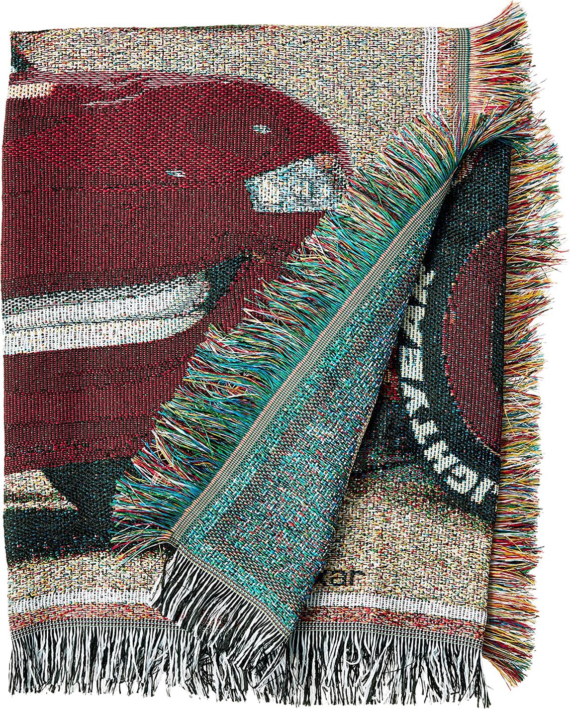 Disney Cars "Greetings from Radiator Springs" Woven Tapestry Throw Blanket, 48" x 60"