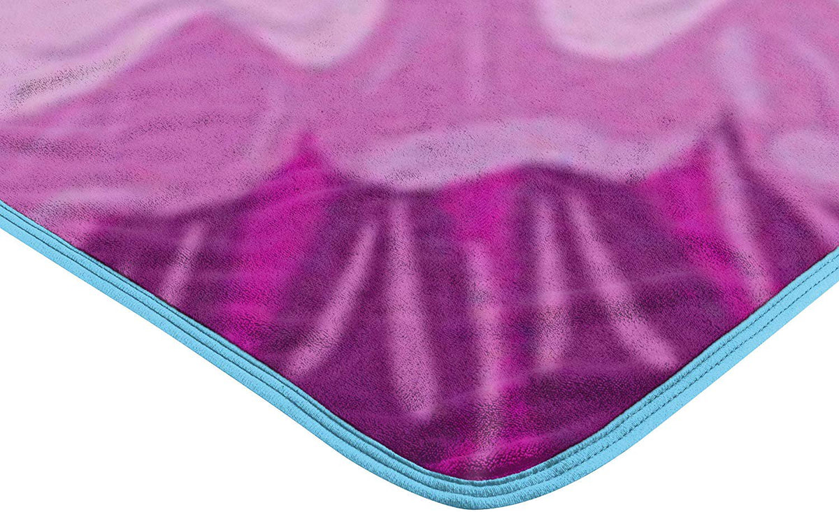 Disney Frozen Micro Raschel - Throw Blanket