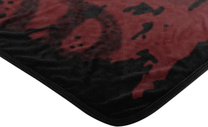 Harry Potter, "Battle Flag" Micro Raschel Throw Blanket, 46" x 60", Multi Color