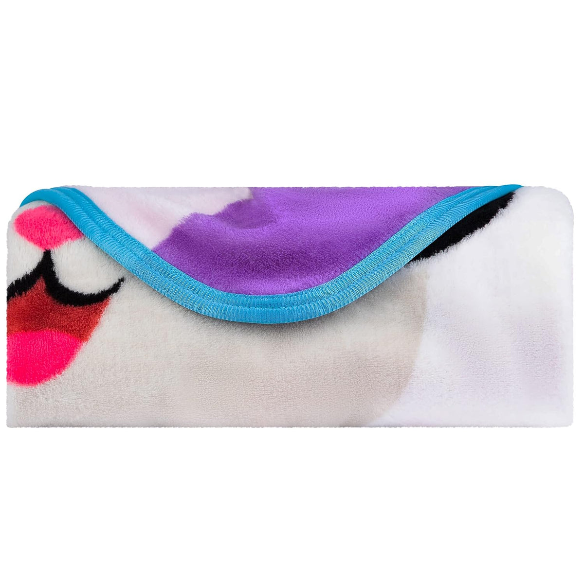 Franco Kids Gabby's Dollhouse Cakey And Pandy Micro Raschel Throw, 46 in x 60 in