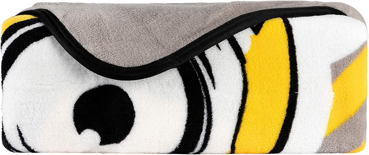Franco Kids Bedding Super Soft Plush Micro Raschel Blanket